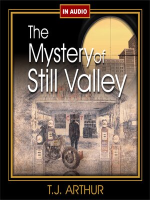 cover image of The Mystery of Still Valley